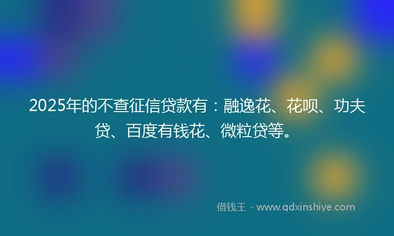 2025年的不查征信贷款有：融逸花、花呗、功夫贷、百度有钱花、微粒贷等。
