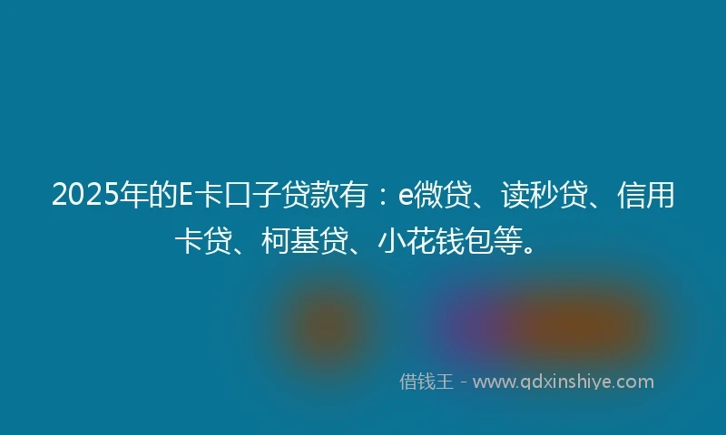 2025年的E卡口子贷款有：e微贷、读秒贷、信用卡贷、柯基贷、小花钱包等。
