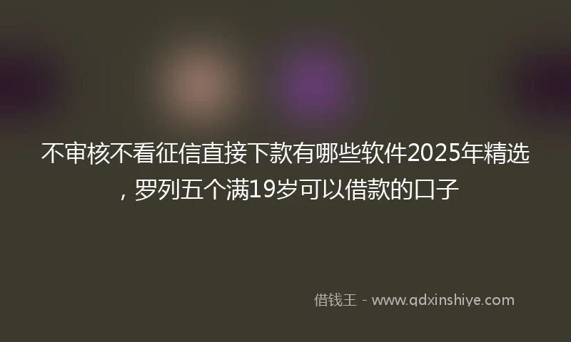 不审核不看征信直接下款有哪些软件2025年精选，罗列五个满19岁可以借款的口子