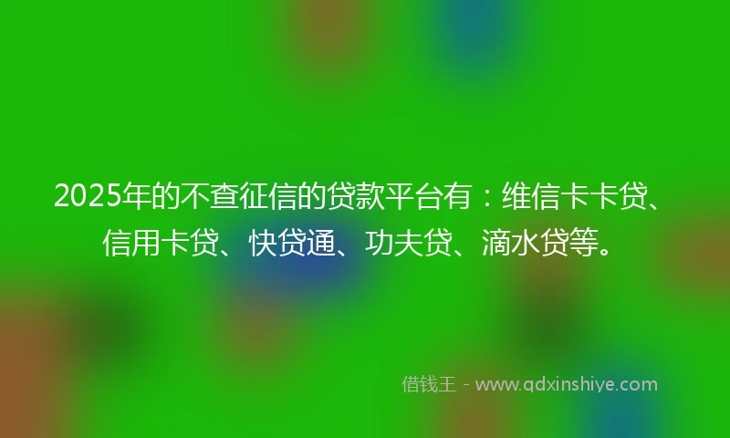2025年的不查征信的贷款平台有：维信卡卡贷、信用卡贷、快贷通、功夫贷、滴水贷等。