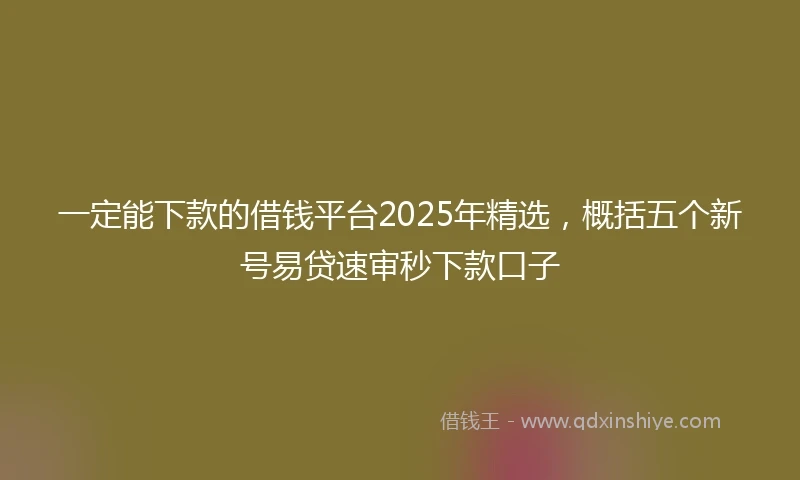 一定能下款的借钱平台2025年精选，概括五个新号易贷速审秒下款口子