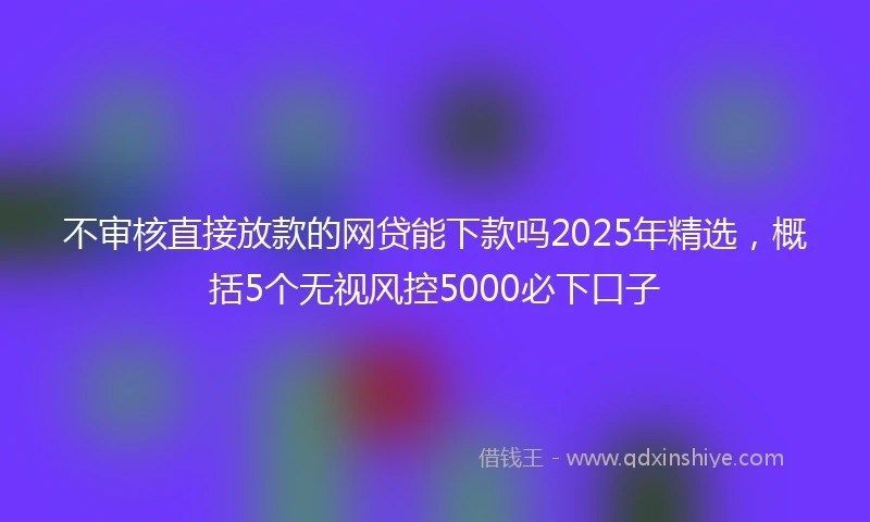 不审核直接放款的网贷能下款吗2025年精选,概括5个无视风控5000必下口子