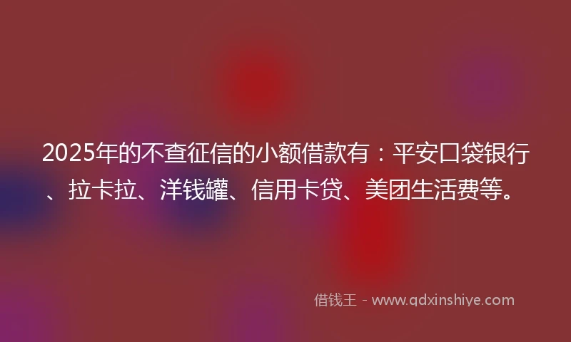 2025年的不查征信的小额借款有：平安口袋银行、拉卡拉、洋钱罐、信用卡贷、美团生活费等。