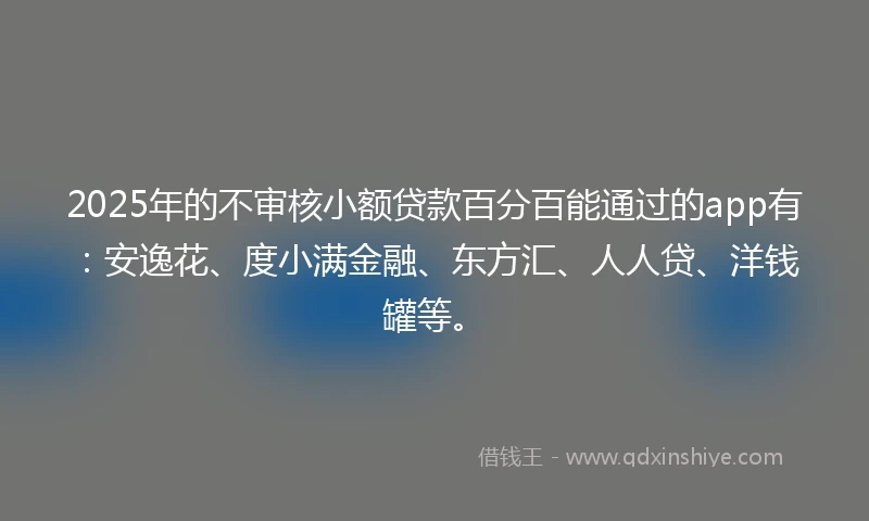 2025年的不审核小额贷款百分百能通过的app有:安逸花、度小满金融、东方汇、人人贷、洋钱罐等。
