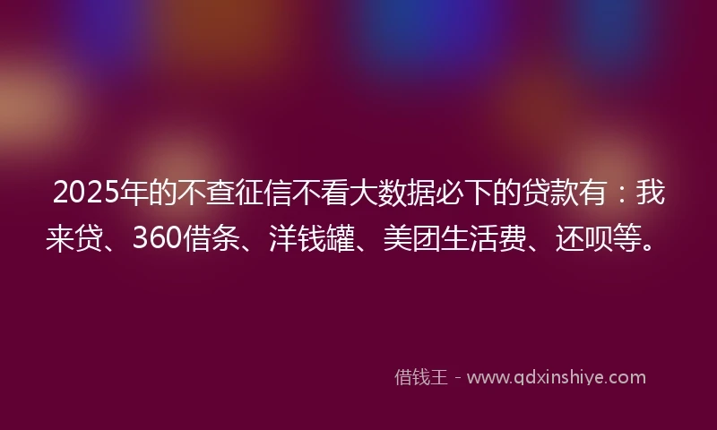 2025年的不查征信不看大数据必下的贷款有：我来贷、360借条、洋钱罐、美团生活费、还呗等。