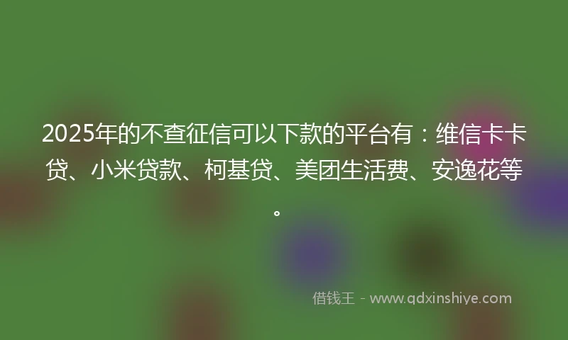 2025年的不查征信可以下款的平台有：维信卡卡贷、小米贷款、柯基贷、美团生活费、安逸花等。