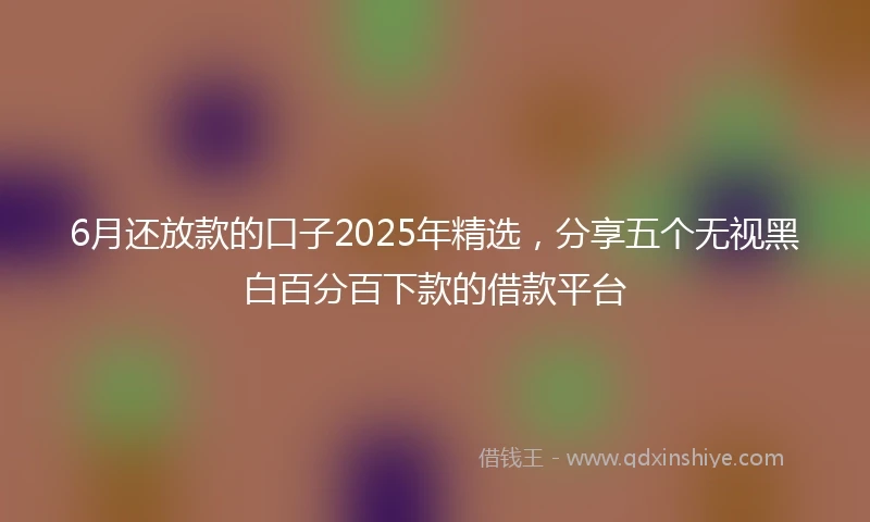 6月还放款的口子2025年精选，分享五个无视黑白百分百下款的借款平台