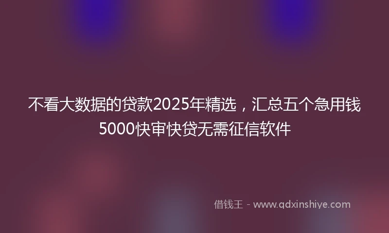 不看大数据的贷款2025年精选，汇总五个急用钱5000快审快贷无需征信软件