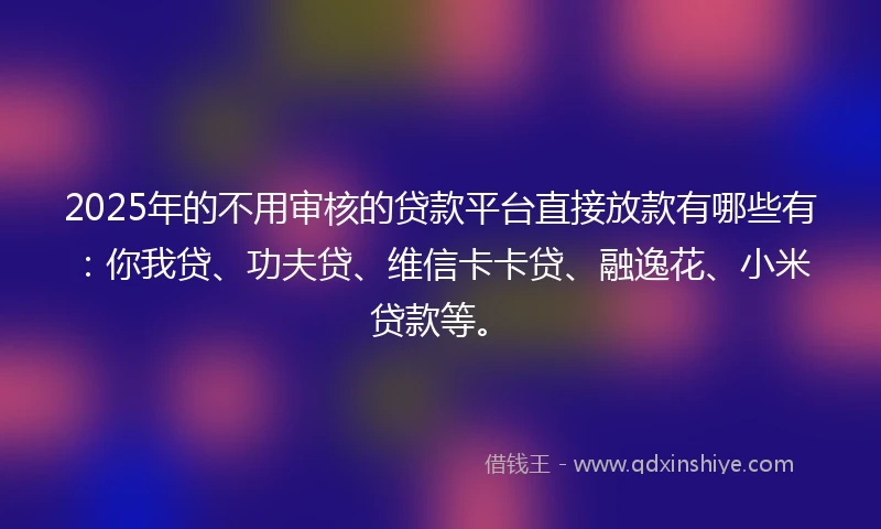 2025年的不用审核的贷款平台直接放款有哪些有：你我贷、功夫贷、维信卡卡贷、融逸花、小米贷款等。