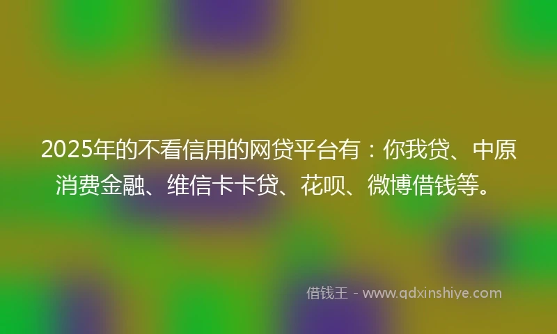 2025年的不看信用的网贷平台有：你我贷、中原消费金融、维信卡卡贷、花呗、微博借钱等。