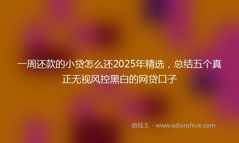 一周还款的小贷怎么还2025年精选，总结五个真正无视风控黑白的网贷口子