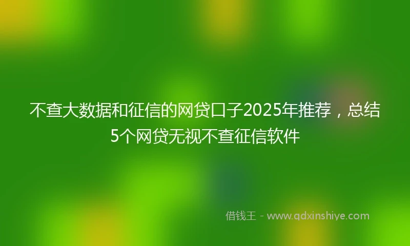 不查大数据和征信的网贷口子2025年推荐，总结5个网贷无视不查征信软件