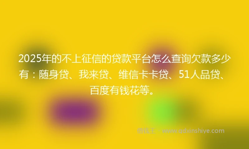 2025年的不上征信的贷款平台怎么查询欠款多少有：随身贷、我来贷、维信卡卡贷、51人品贷、百度有钱花等。