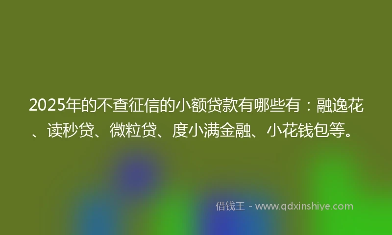 2025年的不查征信的小额贷款有哪些有：融逸花、读秒贷、微粒贷、度小满金融、小花钱包等。