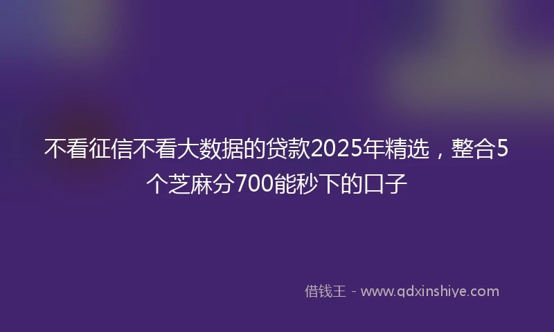 不看征信不看大数据的贷款2025年精选，整合5个芝麻分700能秒下的口子