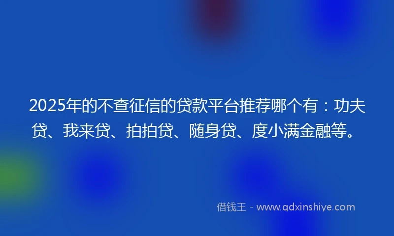 2025年的不查征信的贷款平台推荐哪个有：功夫贷、我来贷、拍拍贷、随身贷、度小满金融等。