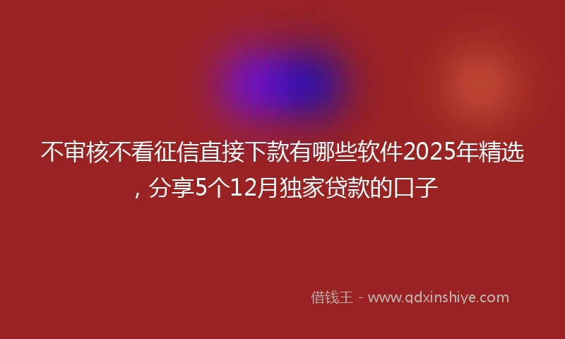 不审核不看征信直接下款有哪些软件2025年精选，分享5个12月独家贷款的口子