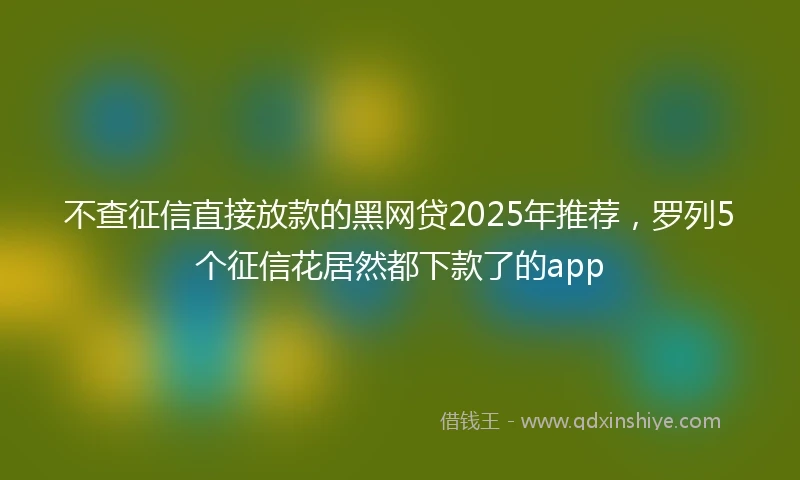 不查征信直接放款的黑网贷2025年推荐，罗列5个征信花居然都下款了的app