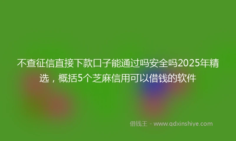 不查征信直接下款口子能通过吗安全吗2025年精选，概括5个芝麻信用可以借钱的软件
