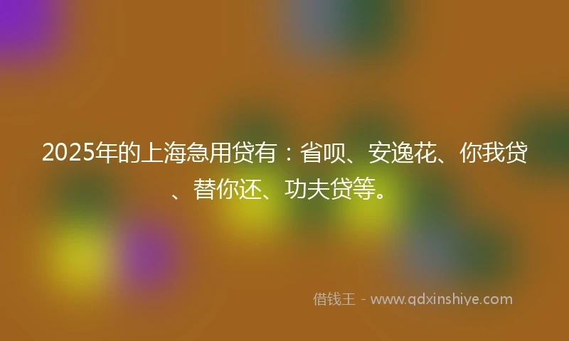 2025年的上海急用贷有：省呗、安逸花、你我贷、替你还、功夫贷等。