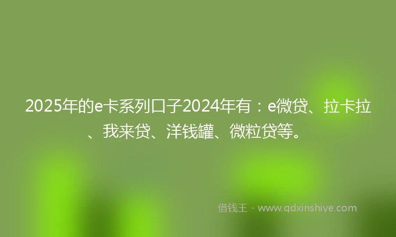 2025年的e卡系列口子2024年有：e微贷、拉卡拉、我来贷、洋钱罐、微粒贷等。