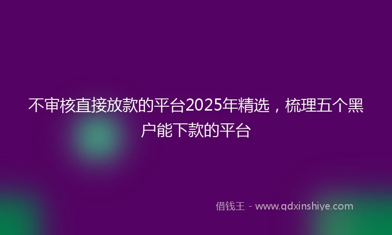 不审核直接放款的平台2025年精选，梳理五个黑户能下款的平台