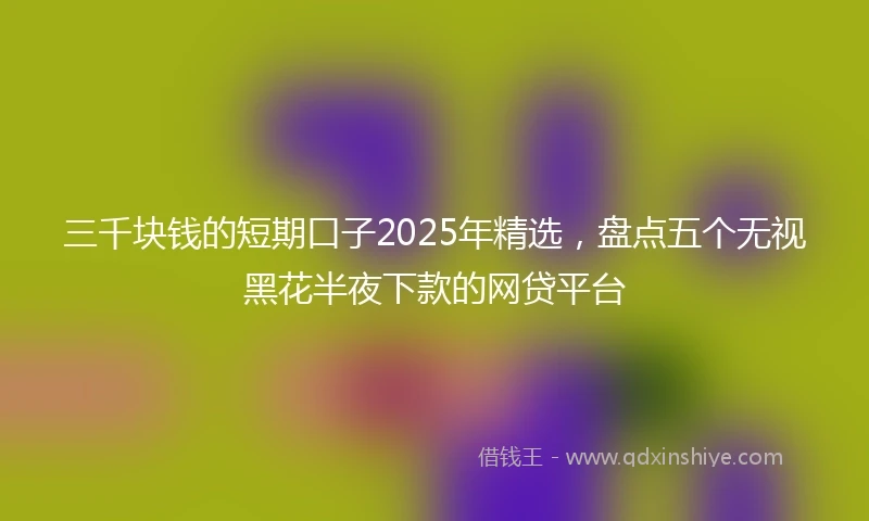 三千块钱的短期口子2025年精选，盘点五个无视黑花半夜下款的网贷平台