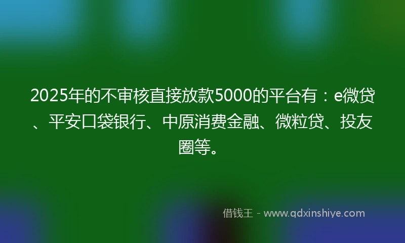 2025年的不审核直接放款5000的平台有：e微贷、平安口袋银行、中原消费金融、微粒贷、投友圈等。
