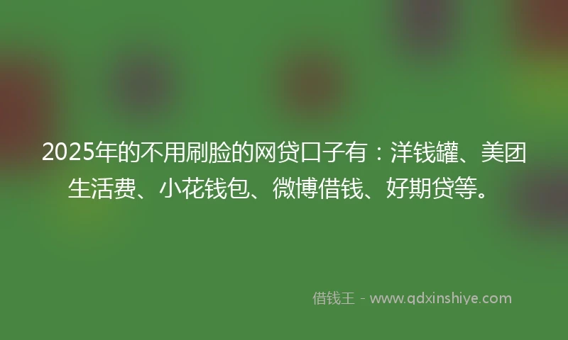 2025年的不用刷脸的网贷口子有：洋钱罐、美团生活费、小花钱包、微博借钱、好期贷等。