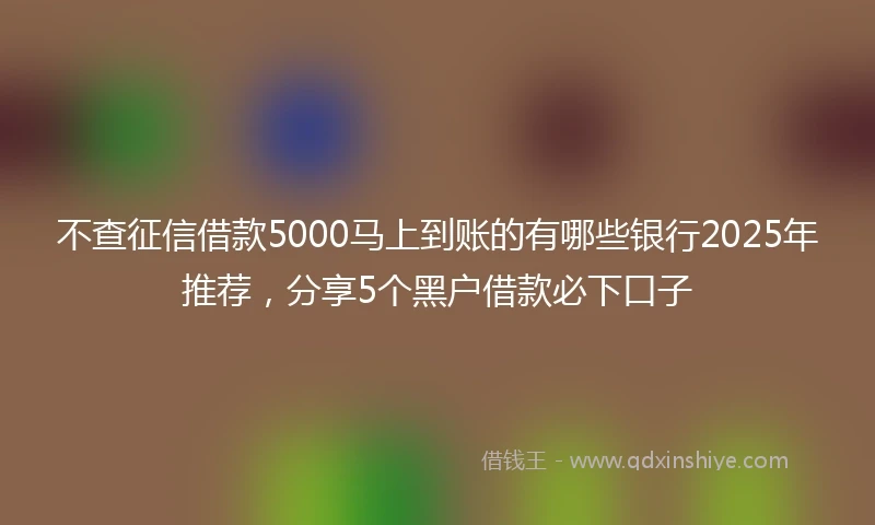 不查征信借款5000马上到账的有哪些银行2025年推荐，分享5个黑户借款必下口子