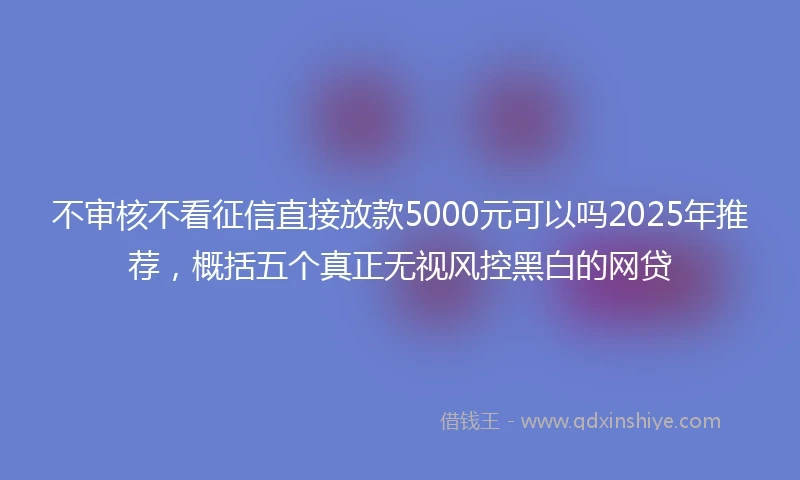 不审核不看征信直接放款5000元可以吗2025年推荐，概括五个真正无视风控黑白的网贷