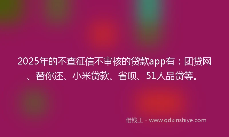 2025年的不查征信不审核的贷款app有：团贷网、替你还、小米贷款、省呗、51人品贷等。