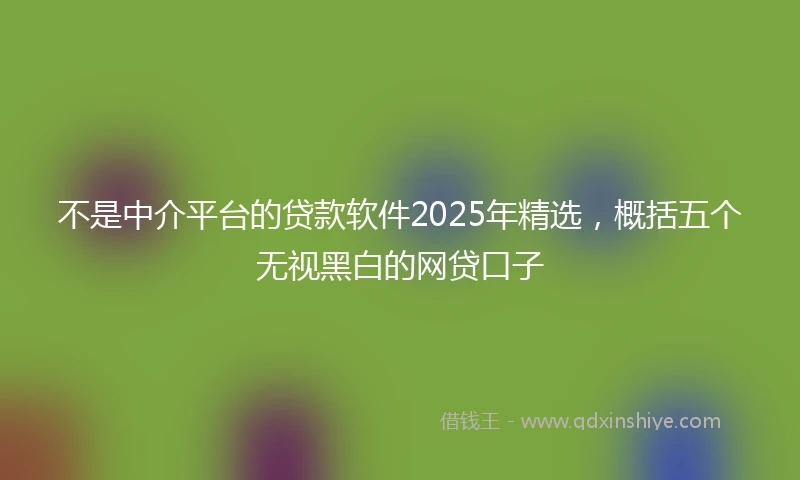不是中介平台的贷款软件2025年精选，概括五个无视黑白的网贷口子