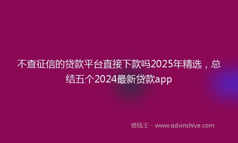 不查征信的贷款平台直接下款吗2025年精选，总结五个2024最新贷款app