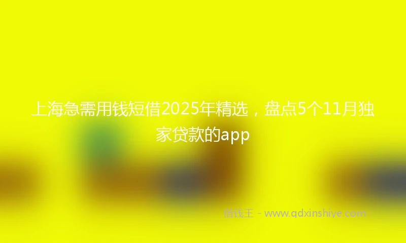 上海急需用钱短借2025年精选，盘点5个11月独家贷款的app