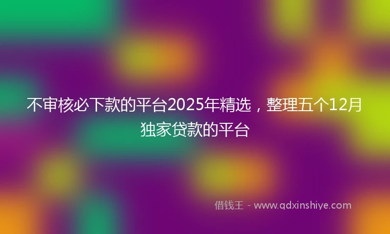 不审核必下款的平台2025年精选，整理五个12月独家贷款的平台