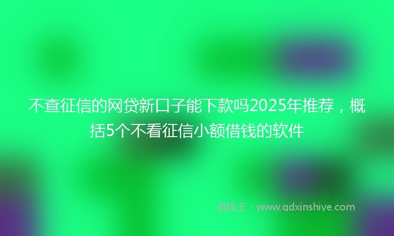 不查征信的网贷新口子能下款吗2025年推荐，概括5个不看征信小额借钱的软件