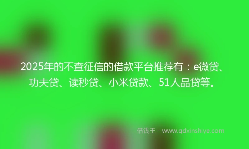 2025年的不查征信的借款平台推荐有：e微贷、功夫贷、读秒贷、小米贷款、51人品贷等。