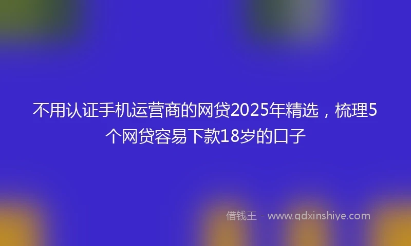 不用认证手机运营商的网贷2025年精选，梳理5个网贷容易下款18岁的口子