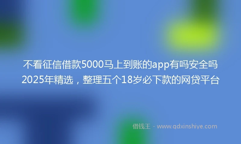 不看征信借款5000马上到账的app有吗安全吗2025年精选，整理五个18岁必下款的网贷平台