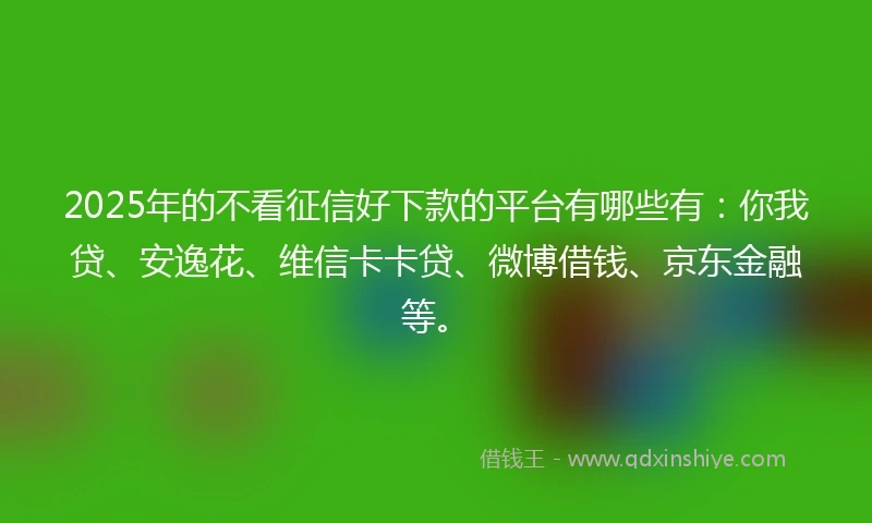 2025年的不看征信好下款的平台有哪些有：你我贷、安逸花、维信卡卡贷、微博借钱、京东金融等。