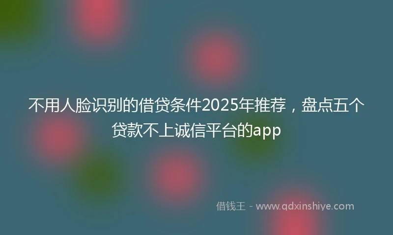 不用人脸识别的借贷条件2025年推荐，盘点五个贷款不上诚信平台的app