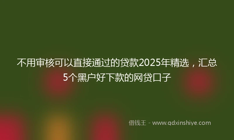 不用审核可以直接通过的贷款2025年精选，汇总5个黑户好下款的网贷口子