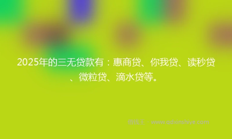 2025年的三无贷款有：惠商贷、你我贷、读秒贷、微粒贷、滴水贷等。