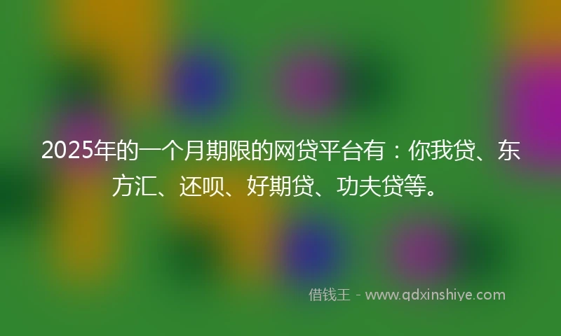 2025年的一个月期限的网贷平台有：你我贷、东方汇、还呗、好期贷、功夫贷等。