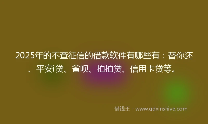 2025年的不查征信的借款软件有哪些有：替你还、平安i贷、省呗、拍拍贷、信用卡贷等。
