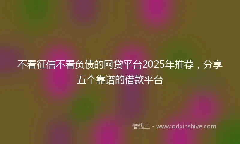 不看征信不看负债的网贷平台2025年推荐，分享五个靠谱的借款平台