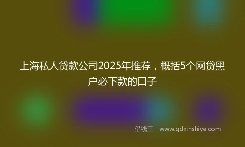 上海私人贷款公司2025年推荐，概括5个网贷黑户必下款的口子