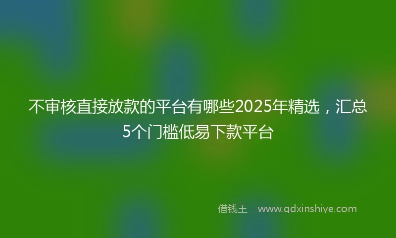 不审核直接放款的平台有哪些2025年精选，汇总5个门槛低易下款平台