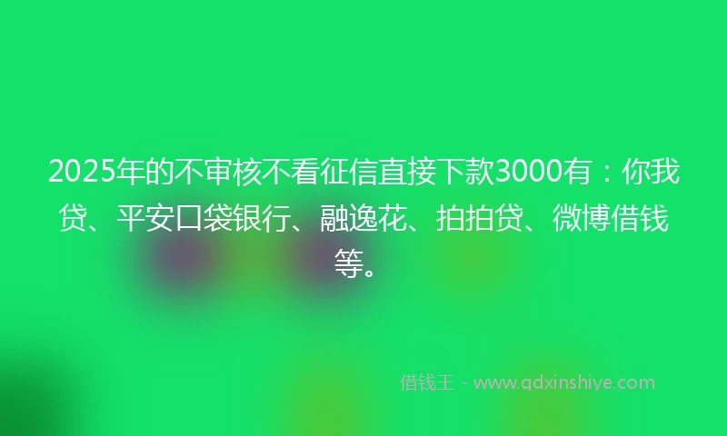 2025年的不审核不看征信直接下款3000有：你我贷、平安口袋银行、融逸花、拍拍贷、微博借钱等。